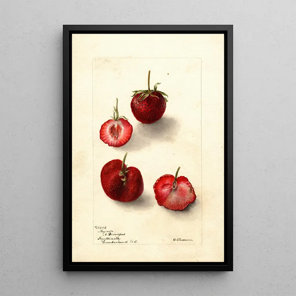 Riproduzione del dipinto Fragaria Maynor - Deborah Griscom Passmore