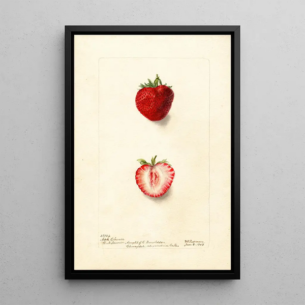 Fragaria Nick Ohmer - Deborah Griscom Passmore — quadro incorniciato alla parete