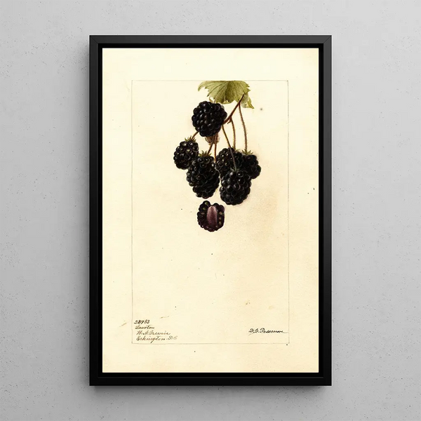 Rubus Lawton - Deborah Griscom Passmore — quadro incorniciato alla parete