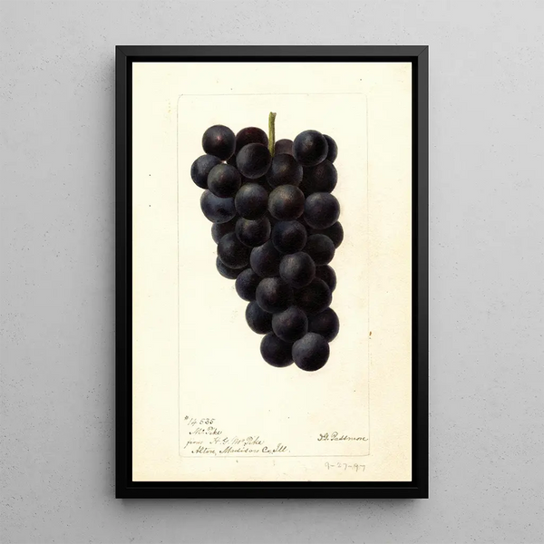 Riproduzione del dipinto Vitis McPike - Deborah Griscom Passmore