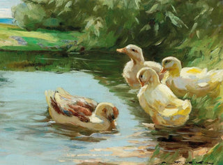 Demeter Koko - Ducks in the water.webp