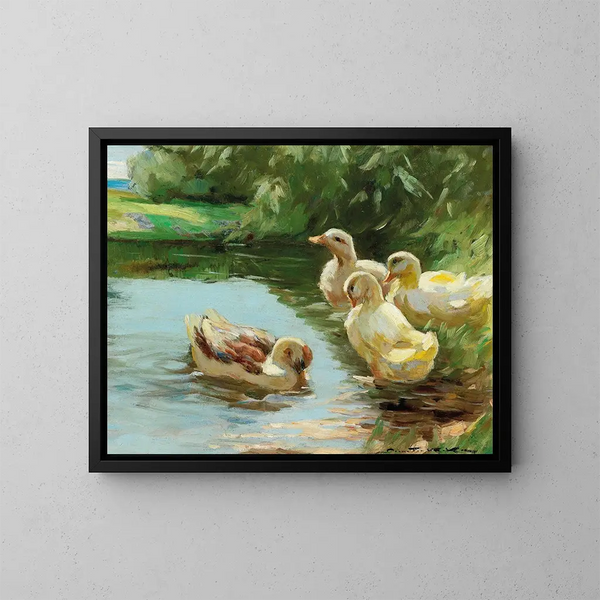 Anatre nell'acqua - Demeter Koko — quadro incorniciato alla parete