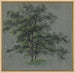 Due alberi - Johann Jacob Dorner — vista dell’opera