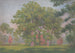 Paesaggio con alberi - Dezider Czader — vista dell’opera