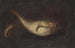 Natura morta con due pesci - Domenico Grosso — vista dell’opera