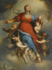 L'Assunzione della Vergine - Domenico Piola — vista dell’opera