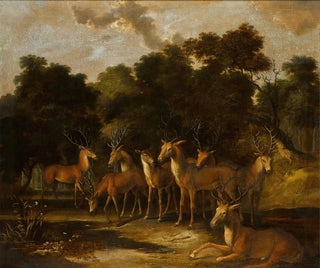 Cervi e una capriola vicino a uno stagno in una radura forestale - Scuola Olandese — vista dell’opera