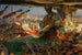 Stradivarius nel suo atelier - Edgar Bundy — vista dell’opera