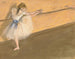 Danseuse à la barre - Edgar Degas — vista dell’opera