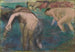 Donne nel bagno - Edgar Degas — vista dell’opera