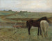 Dei cavalli in un prato - Edgar Degas — vista dell’opera