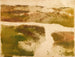 Paesaggio montano - Edgar Degas — vista dell’opera