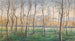 Una piccola foresta di betulle con vista sul monastero di Klosterneuburg - Eduard Ferdinand Höfecker — vista dell’opera