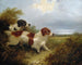 Due terrier - Edward Armfield — vista dell’opera