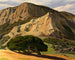 Quercie e rocce a San Luis Obispo - Edward Bruce — vista dell’opera