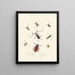 Un résumé de l'histoire naturelle des insectes de Nouvelle-Hollande Nouvelle-Zélande Pl04 - Edward Donovan — quadro incorniciato alla parete