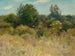 Notre jardin arrière quand j'étais jeune - Edward Emerson Simmons — vista dell’opera
