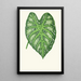 Riproduzione del dipinto Caladium mirabile - Edward Joseph Lowe
