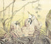 Le Geai - Edward Julius Detmold — vista dell’opera