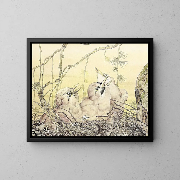 Le Geai - Edward Julius Detmold — quadro incorniciato alla parete