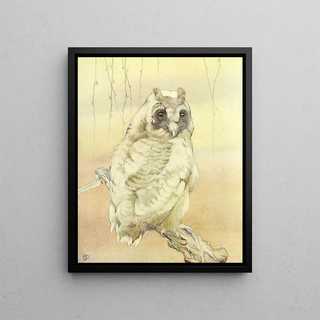 Edward Julius Detmold - The LongEared Owl.webp