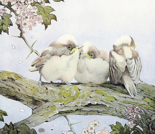 Edward Julius Detmold - The LongTailed Tit.webp