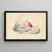 Un fenicottero rosa - Edward Lear — quadro incorniciato alla parete
