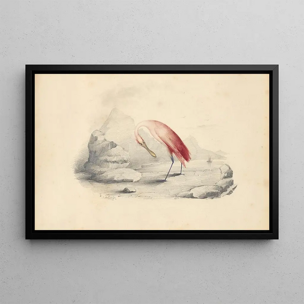 Un fenicottero rosa - Edward Lear — quadro incorniciato alla parete