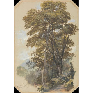 Edward Lear - Corpo di Cava 28 June 1838.webp