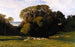 Nuneham - Edward Lear — vista dell’opera