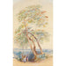 Studio di albero Trichinopoly India - Edward Lear — vista dell’opera