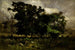 Paesaggio di alberi - Edward Mitchell Bannister — vista dell’opera