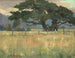 Paesaggio - Edward Reginald Frampton — vista dell’opera