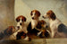 Cani preferiti - Edward Robert Smythe — vista dell’opera