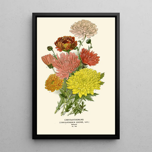 Riproduzione del dipinto Chrysanthème di Cina - Edward Step