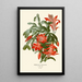 Riproduzione del dipinto Epiphyllum truncatum - Edward Step