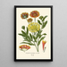 Riproduzione del dipinto Gaillarde elegante - Edward Step