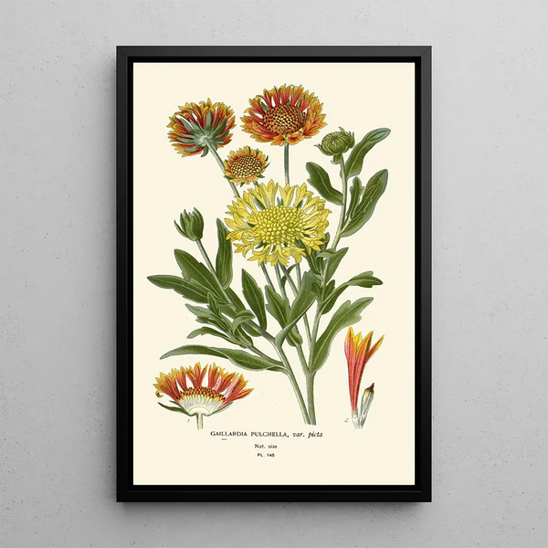 Riproduzione del dipinto Gaillarde elegante - Edward Step