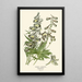 Riproduzione del dipinto Delphinium ibrido - Edward Step