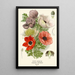 Riproduzione del dipinto Anémone Coquelicot - Edward Step