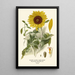 Riproduzione del dipinto Girasole con Foglie d'Argento - Edward Step