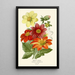 Riproduzione del dipinto Dahlia Semplice - Edward Step