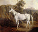 Bolivia - Edward Troye — vista dell’opera