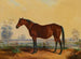 Dixie nel paesaggio - Edward Troye — vista dell’opera