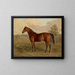 Pic du Kentucky - Edward Troye — quadro incorniciato alla parete