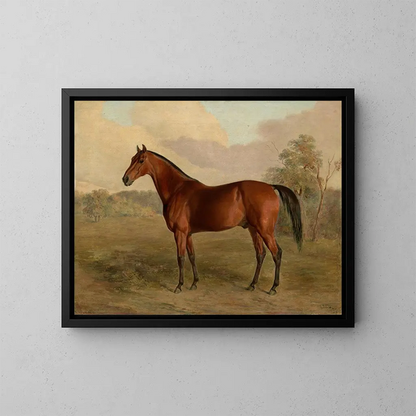 Pic du Kentucky - Edward Troye — quadro incorniciato alla parete