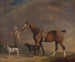 Un atleta con un pony da caccia e cani da caccia - Edwin Cooper — vista dell’opera
