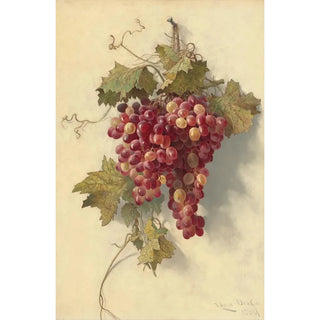 Edwin Deakin - Grapes Against White Wall.webp