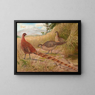 Edwin Megargee - Soemmerrings Copper Pheasant.webp