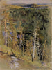 Paesaggio boschivo - Eero Järnefelt — vista dell’opera